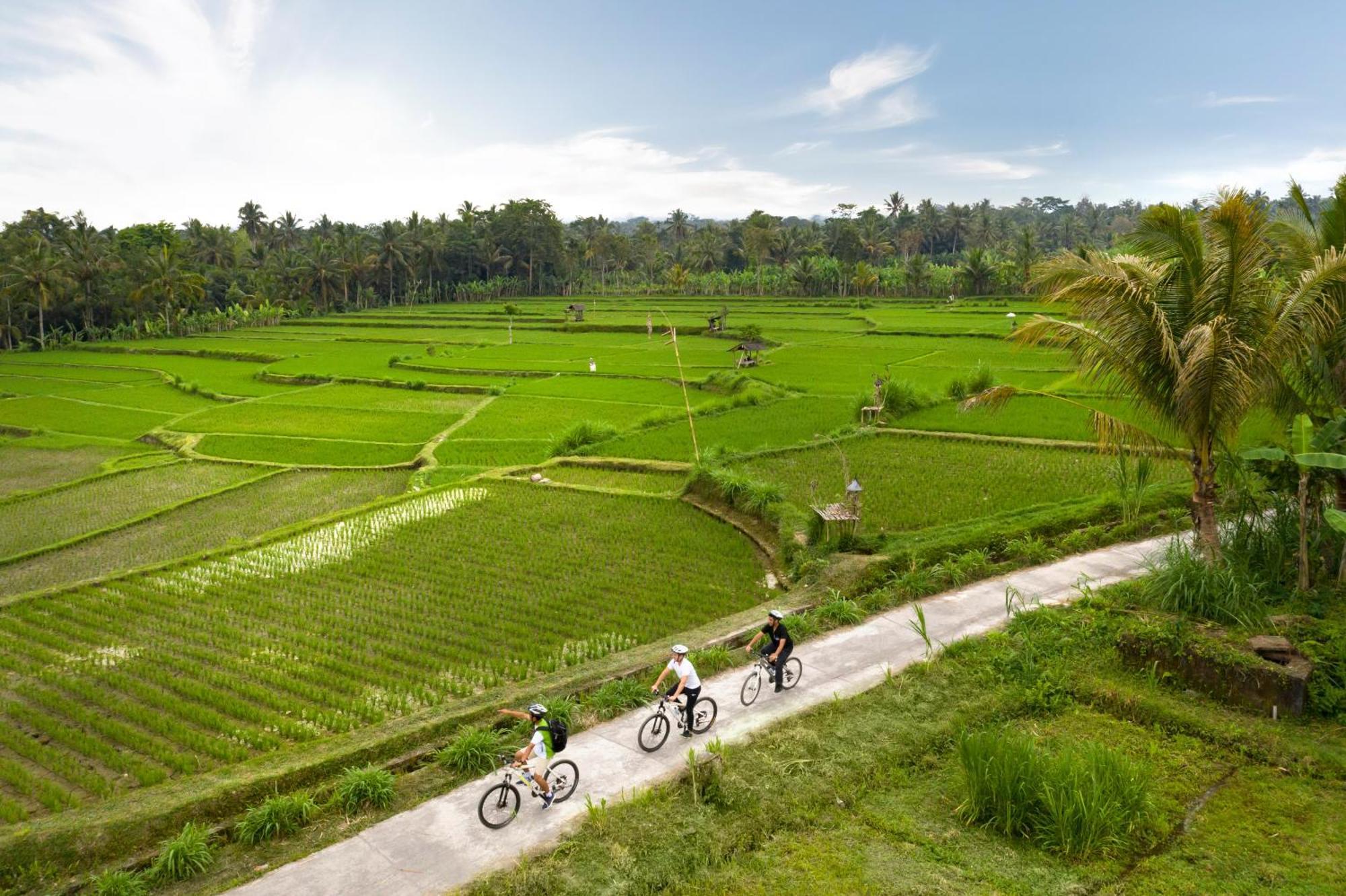 Padma Resort Ubud Пайанган Екстериор снимка